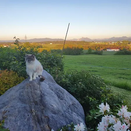 Idyllische Designer-apartments Am Bio-bauernhof In Salzburgerseenland Schmiding 10 Апартаменты