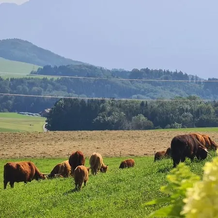 Idyllische Designer-apartments Am Bio-bauernhof In Salzburgerseenland Schmiding 10 *