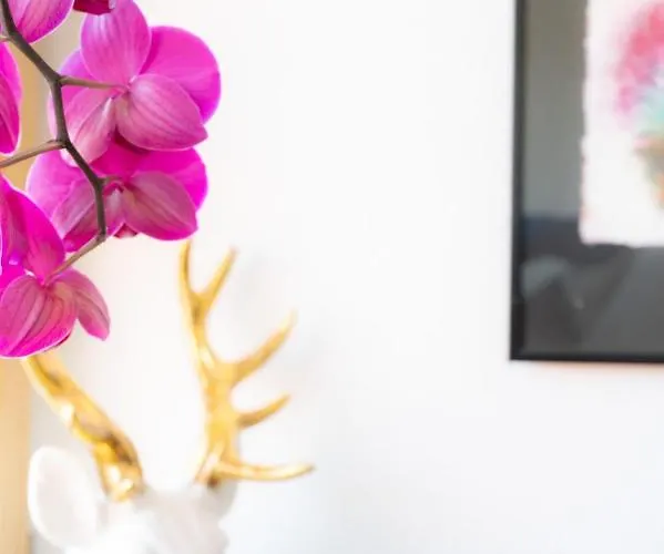 Idyllische Designer-apartments Am Bio-bauernhof In Salzburgerseenland Schmiding 10 Apartamento Seekirchen am Wallersee